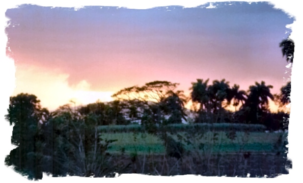 The road from Camaguey (Cuba)